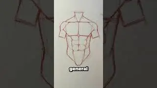 How to draw muscular abs || Jmarron