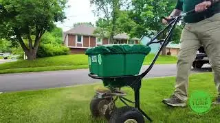 Natural Turf Solutions Organic Lawn Care