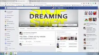 Facebook auto review - BIG BONUS