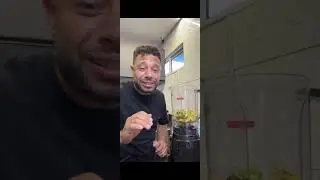 cozinhando com mainha hahahahah só resenha