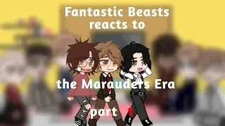 Fantastic Beasts reacts to Marauders Era part (1/3)