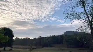 I LOVE THE HONKING SOUNDS OF THE CANADA GEESE AS THEY FLY AROUND @PorkDork420