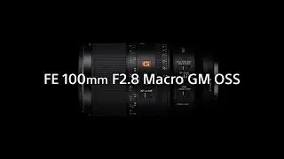 Introducing FE 100mm F2.8 Macro GM OSS | Sony | &alpha; Lens