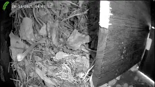 Egelhuisje Alkmaar | Live view hedgehog house