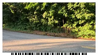 2024-07-13 Walk - Stoneham, MA