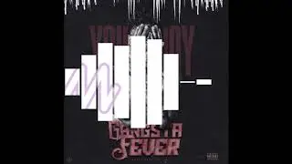 YoungBoy - Gangsta Fever (Clean)