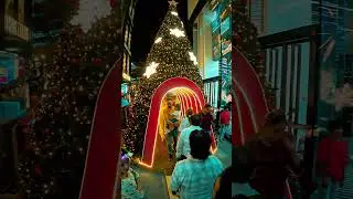Brigade Road Christmas &. New year 2025 vibe #pravasikannadiga #brigaderoad #churchstreet #mgroad