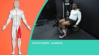 How To Do Machine Leg Extensions - Single Leg | Exercise Demo