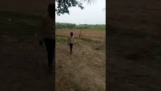 #reels #timepass #trending #video #viral #