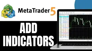 How To Add Indicators On MT5 PC - Step By Step