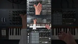 Polybrute: Oscillating Filters Motion Recording & LFOs!