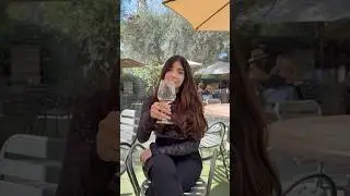 Experience a Cozy Malibu Wine Tasting Room: Amazing Vibes & Affordable Prices #winery #california