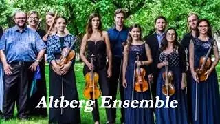 Play the Violin sheet music with Altberg Ensemble/ Telemann: TWV 43:G7, 