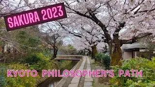 KYOTO PHILOSOPHERS PATH WALK IN SAKURA CHERRY BLOSSOM | KYOTO, JAPAN | MAMUN CHOWDHURY | JAPAN 2023