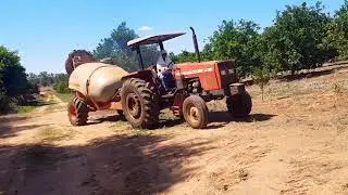 MF 275 Advanced Pulverizando Laranja com Atomizador Jacto Arbus Valência 4000lts.