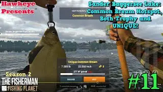 The Fisherman - Fishing Planet - S2 | Common Bream Hotspot, Both Trophy and UNIQUE!