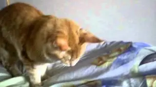 MOV00450