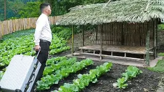 CEO leaves city to return to the countryside, building a new life from scratch.
