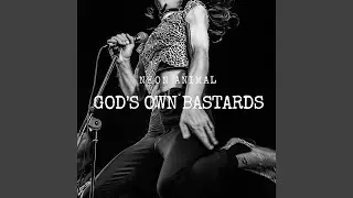 Vive Le Rock