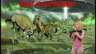 Epic Wildlife Battle on the Farm | Female Hunter Faces Massive Hyena Threat