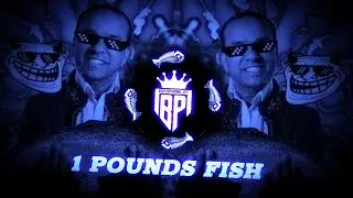 || 1 POUND FISH (SLOWED + REVERBED) 📈🔥 🐟||