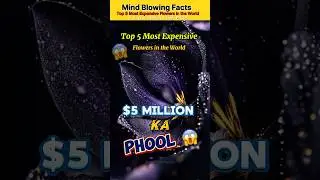 Top 5 Most Expensive Flowers in the World! #facts #factabhishek7352 #shortsfeed