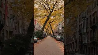 Amsterdam Lomanstraat! #amsterdam #travel #fyp