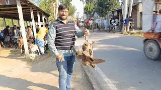 বাজার থেকে ১০০০ টাকায় ২টি হাঁস কিনলাম। Duck purchase #viral #trending #duck 