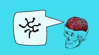 The Science Of Optimism