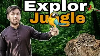🌿 Jungle Ki Mystery! Hidden Wildlife & Real Adventure