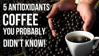5 Antioxidants in Coffee You Probably Didn't Know! | Coffee Buzz Club |