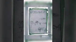 Hist&oacute;ria de Palmeira das Miss&otilde;es para crian&ccedil;as