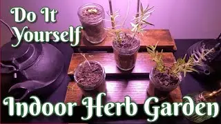 DIY Indoor Herb Garden 🌿 with Mason Jars 🫙 & Grow Lights 💡 