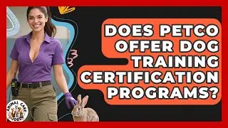 Does Petco Offer Dog Training Certification Programs? | Animal Care Jobs