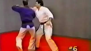 Hapkido 4 Dynamic Defensive Techniques