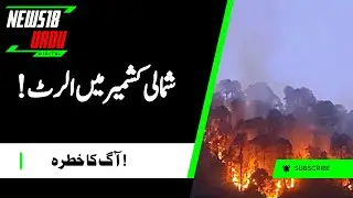 Bandipora (J&K): Forest fire in multiple compartments of forests in North Kashmir | Bandipora