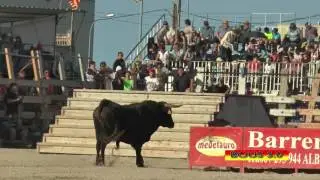 2017 05 17 ALCANAR HNOS OZCOZ CHAQUETON 9