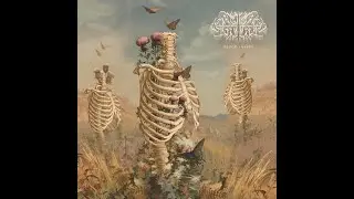 Dawn Treader - Bloom & Decay