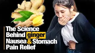 Ginger for Upset Stomach: Nausea Relief & Ginger Supplements
