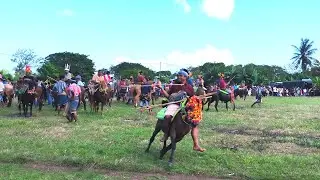 Pasola Maliti Bondo Ate❗Duel,Tradisi Leluhur & Kisah Cinta Segitiga #simplelifesumba #sumba #gopro11
