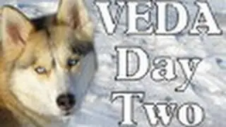 VEDA Day #2 Why Huskies? Vlog Every Day in April