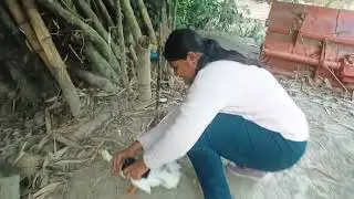 #Villagediary  #enjoy