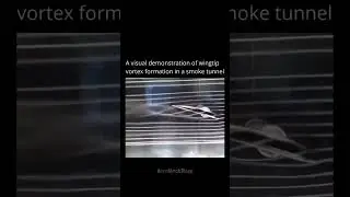How Wingtip Vortices Affect Aircraft Drag ✈️🌪️ | Smoke Tunnel Demo