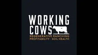 Taking Control of Your Money (WCP 490)