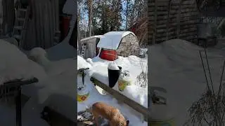 Середина зимы ❄️, но сегодня прекрасный день 😎, чтобы заготовить гашиш&hellip; #жизньпиратскогобордиста ...