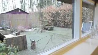 Welkom bij Drentse krent!