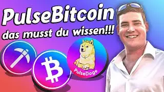 PulseBitcoin Tutorial Deutsch German - Alles was du &uuml;ber ASIC PLSB UND PLSD wissen musst!