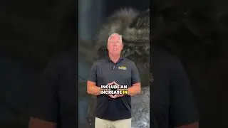 How to Tell If You Have a Spider Infestation
