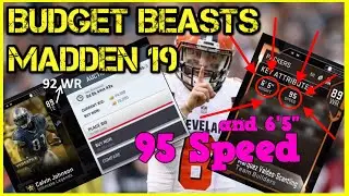 The Best *Budget Beasts* in the Game | Madden 19 Ultimate Team