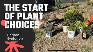 Plant choices for the new garden
